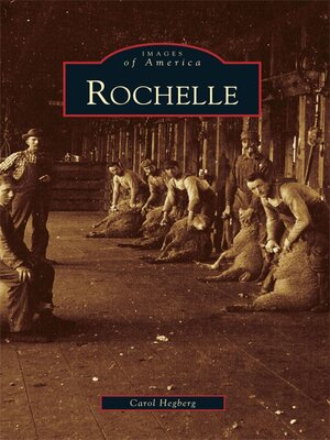 cover image of Rochelle